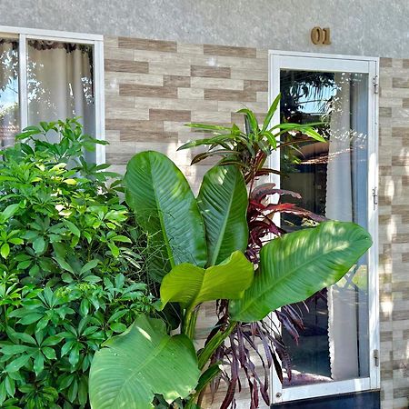 Ho Coc Homestay Exterior foto
