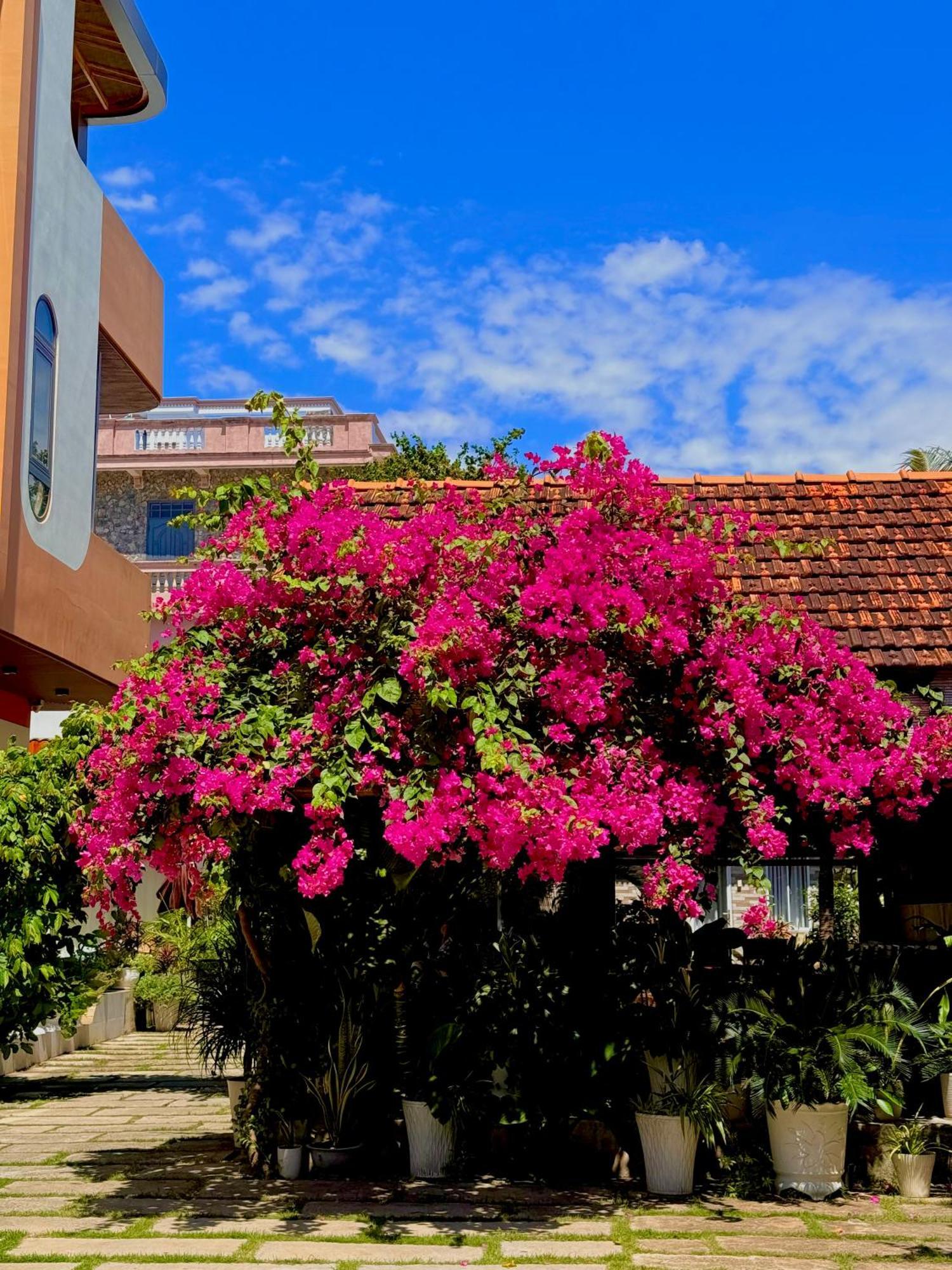Ho Coc Homestay Exterior foto